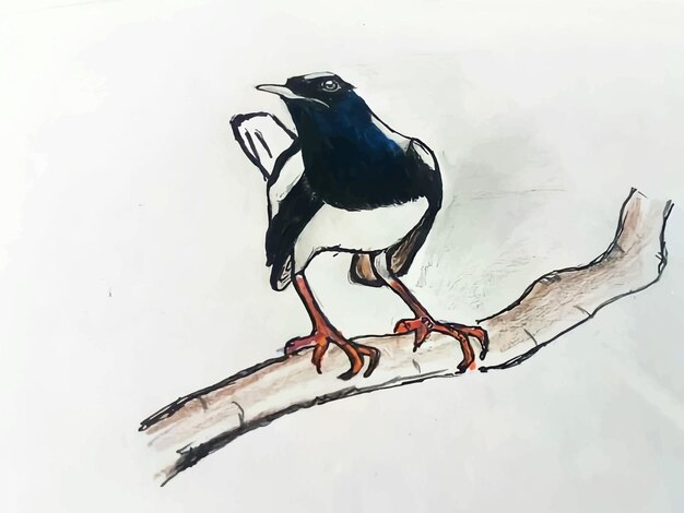 Vector hermosa ilustración de pintura en acuarela con fondo de pájaro