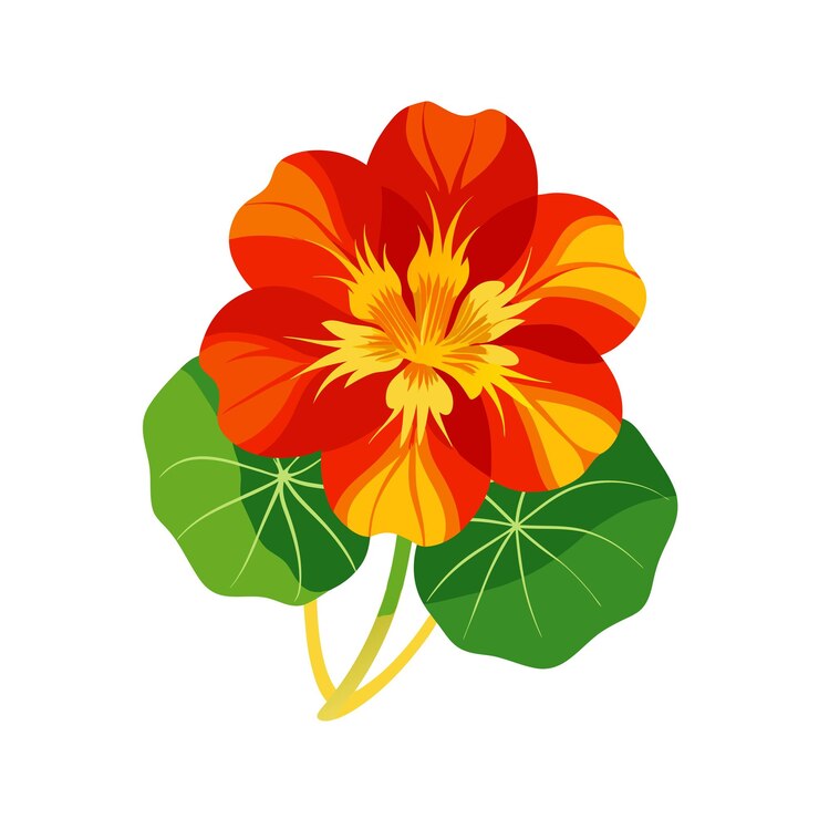 Vector una hermosa ilustración vectorial de estilo plano de flor