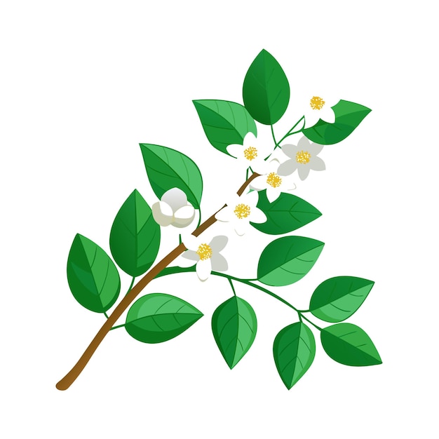 Una hermosa ilustración vectorial de estilo plano de flor