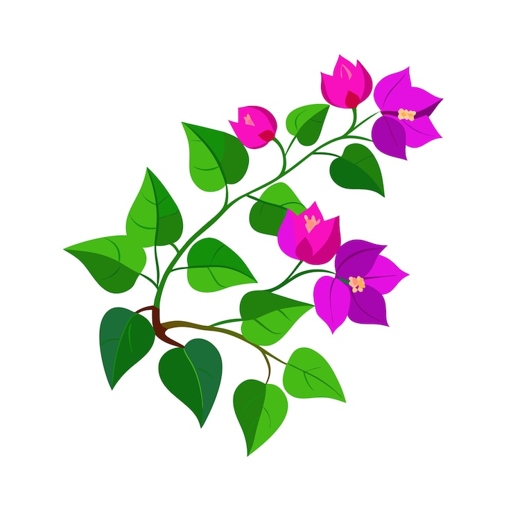 Vector una hermosa ilustración vectorial de estilo plano de flor