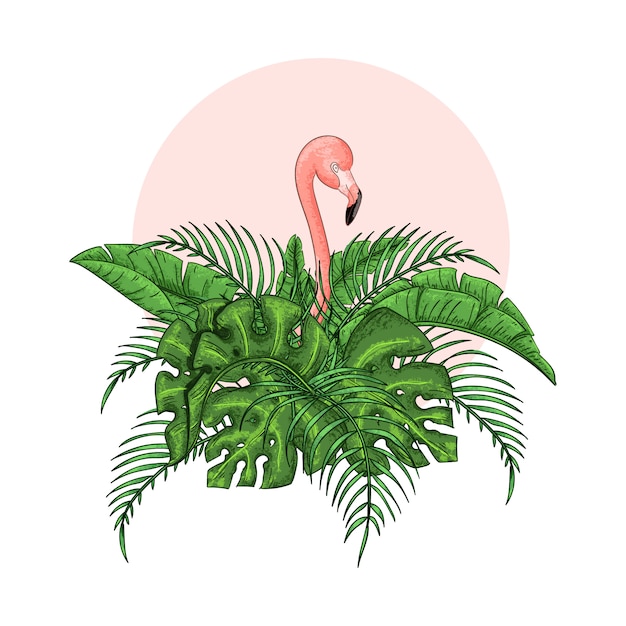 Hermosa ilustración vectorial floral exótico con flamenco rosado