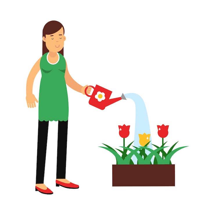 Vector hermosa joven morena regando flores en el vector de caja ilustración sobre un fondo blanco