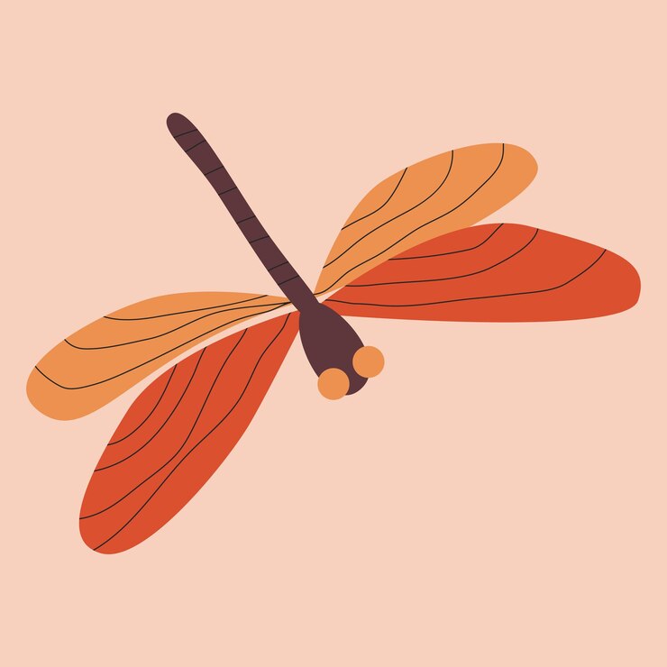 Vector hermosa libélula con alas coloridas ilustración vectorial plana