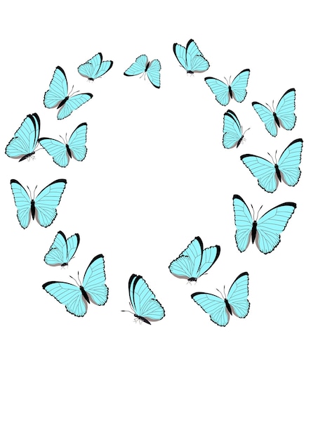 Vector hermosa mariposa en grupo fondo transparente