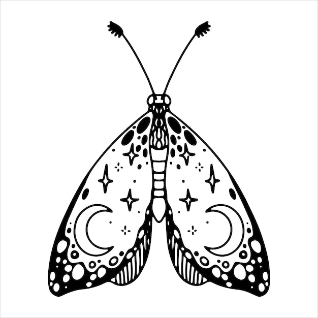 Vector hermosa mariposa insecto estilizado decorativo dibujado a mano con alas negras ilustración vectorial de escarabajo sobre un fondo blanco