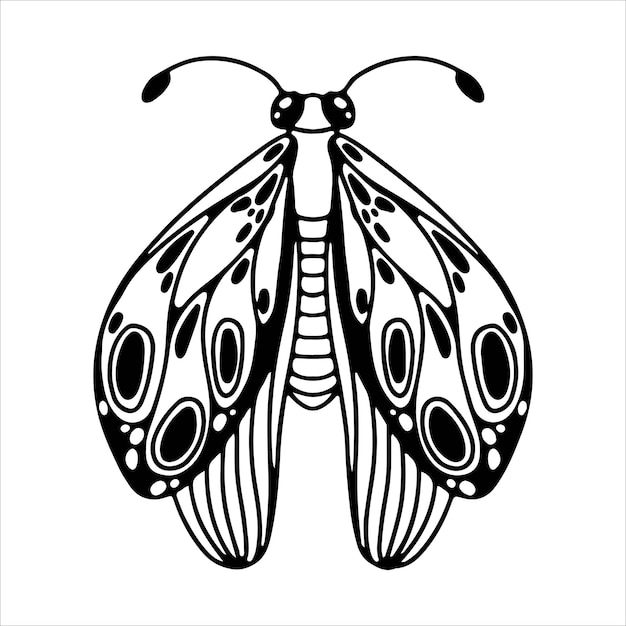 Hermosa mariposa Insecto estilizado decorativo dibujado a mano con alas negras Ilustración vectorial de escarabajo sobre un fondo blanco