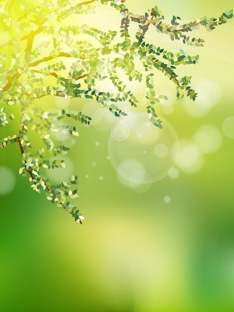 Hermosa naturaleza Bokeh.