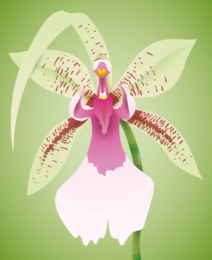 Vector hermosa orquídea con parches en sus pétalos y tallo largo aislado en un fondo verde suave