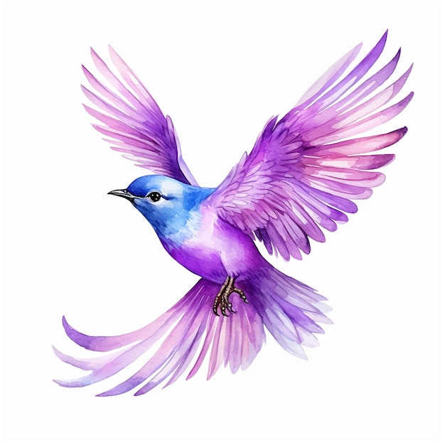 Vector hermosa pintura de acuarela de pájaro