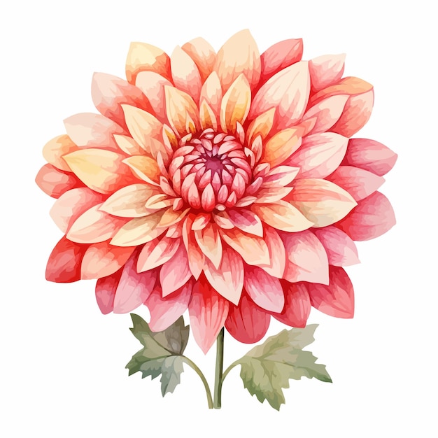 Hermosa pintura sobre Dahlia Flowers