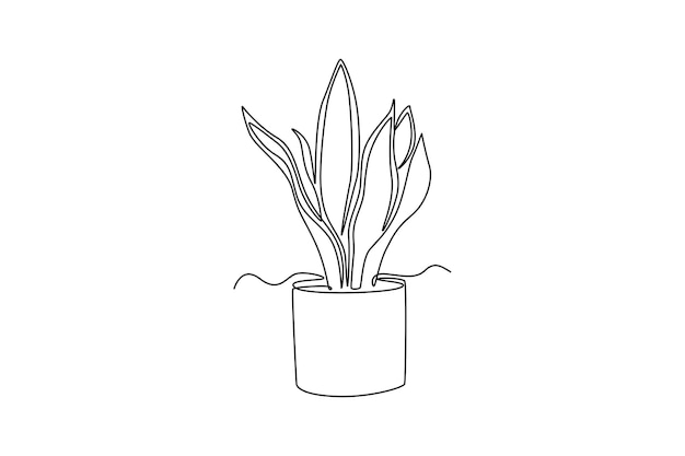 hermosa planta de serpiente en olla para la decoración del hogar identidad del logotipo