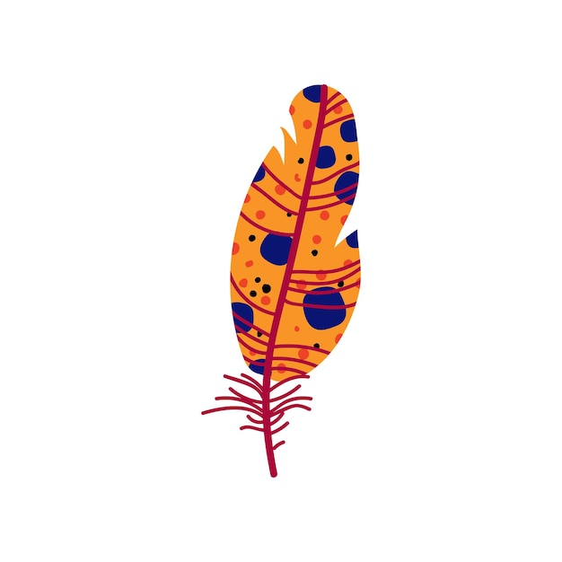 Hermosa pluma de pájaro naranja con puntos azules Ilustración vectorial de elementos de decoración sobre fondo blanco