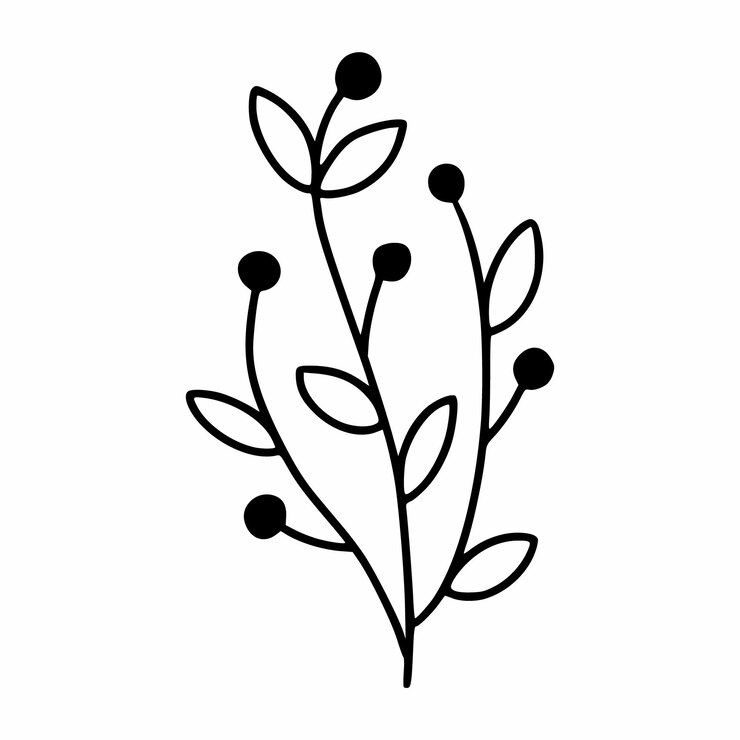 Vector hermosa ramita de planta con frutos negros. rama de estilo doodle.