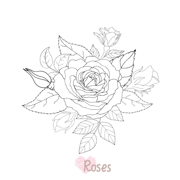 Hermosa rosa blanca y negra y hojas ilustración vectorial