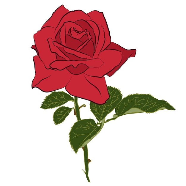 Hermosa rosa roja aislada sobre fondo blanco Silueta botánica de flor Color de estilización plana