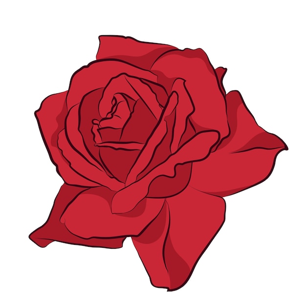 Hermosa rosa roja aislada sobre fondo blanco Silueta botánica de flor Color de estilización plana