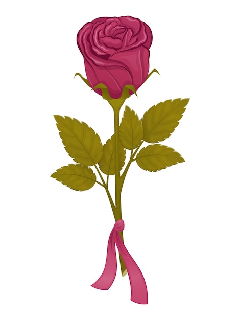 Vector hermosa rosa roja con una cinta sobre un fondo blanco aislado en blanco ilustración vectorial