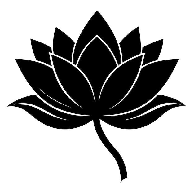 hermosa silueta de flor de loto aislado fondo blanco