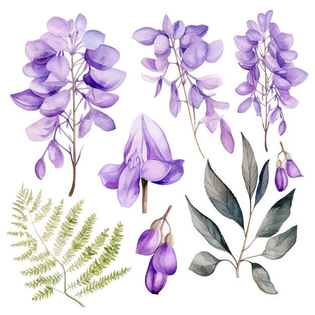 Vector hermosas acuarelas de wisteria flores clipart y hojas acuarelas elementos florales