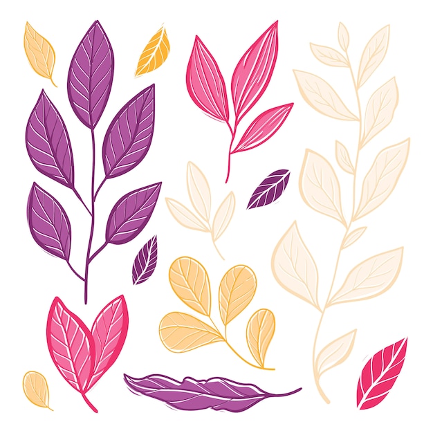 Vector hermosas coloridas hojas de otoño. ilustración plana