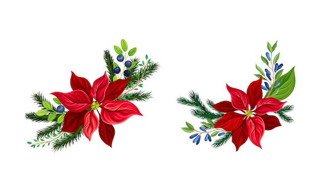 Hermosas decoraciones navideñas con flores rojas, ramas de abeto y arándanos. Ilustración vectorial