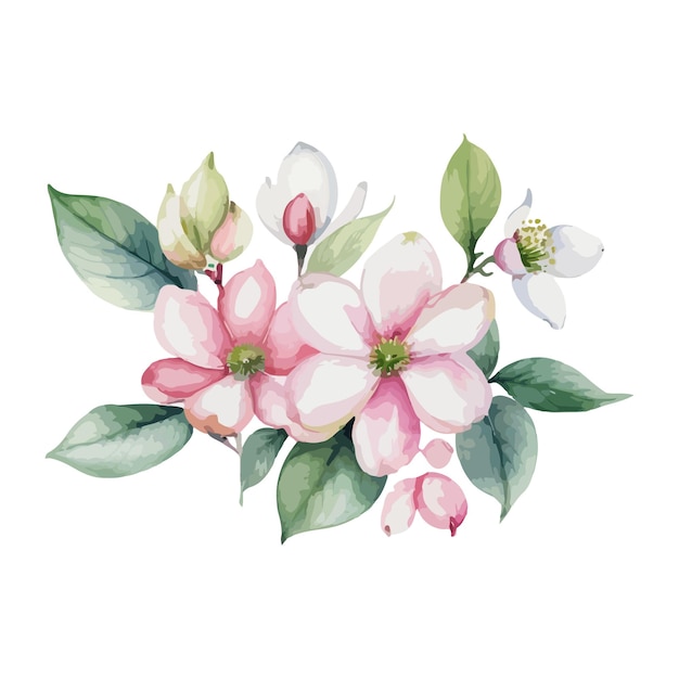 hermosas flores de acuarela de madera de perro ilustración vectorial de flores