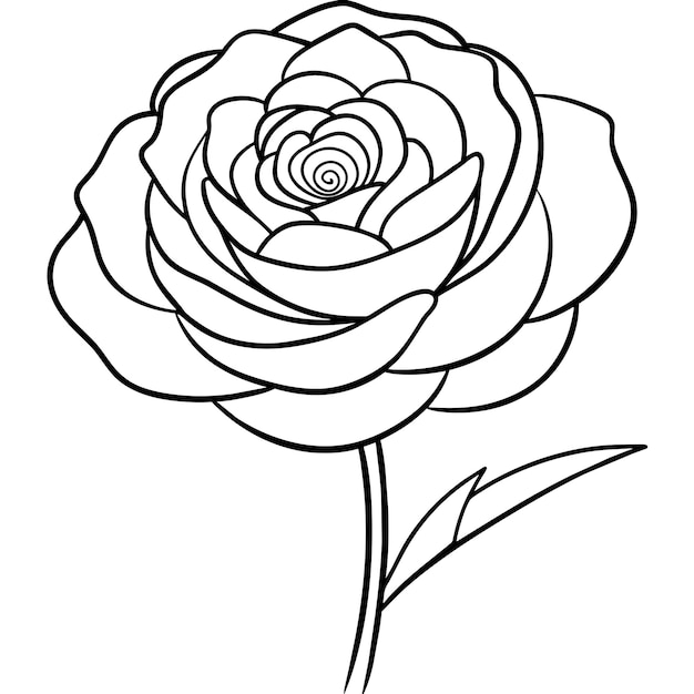 Hermosas flores en colores blanco y negro ilustración para su diseño