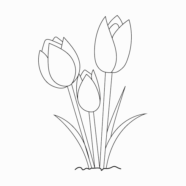 Vector hermosas flores fáciles libro para colorear flores en blanco y negro dibujadas a mano