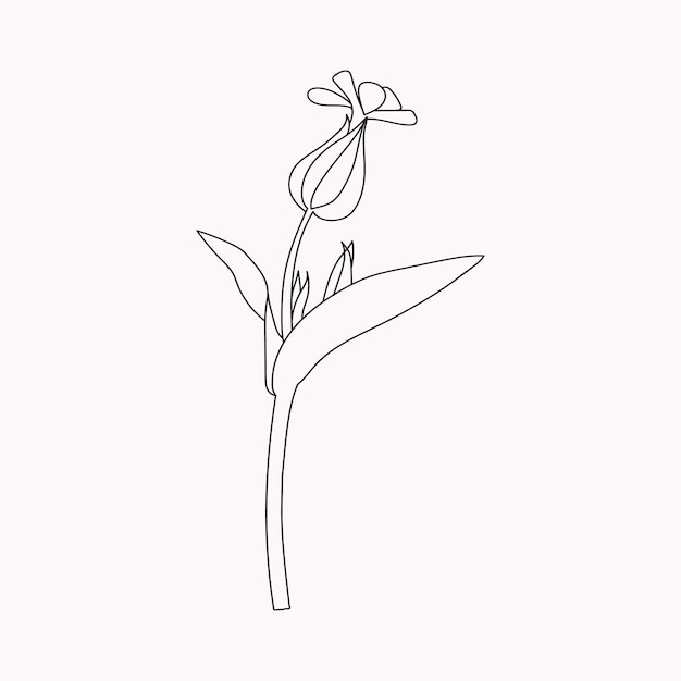 Hermosas flores fáciles Libro para colorear Flores en blanco y negro dibujadas a mano