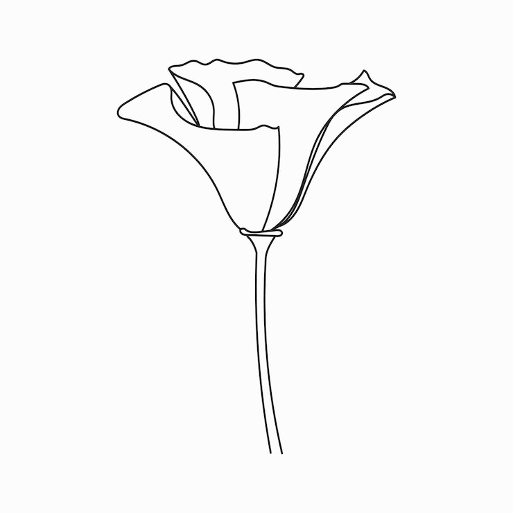 Vector hermosas flores fáciles libro para colorear flores en blanco y negro dibujadas a mano