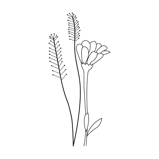 Hermosas Flores Fáciles Libro Para Colorear Para Niños En Edad Preescolar Lindas Flores Educativas Página Para Colorear