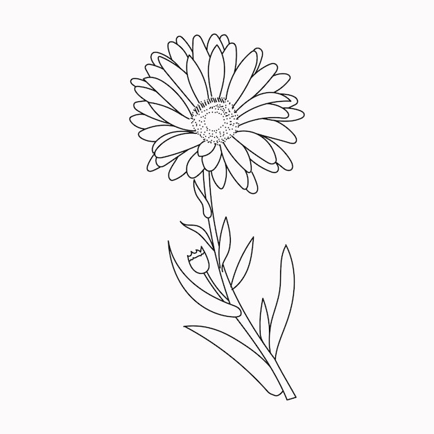 Hermosas Flores Fáciles Libro Para Colorear Para Niños En Edad Preescolar Lindas Flores Educativas Página Para Colorear