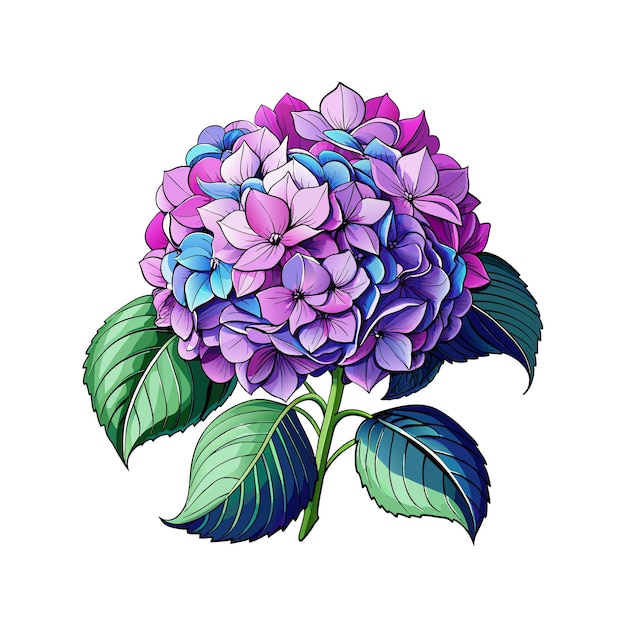 Vector hermosas flores de hortensia con ramas de hojas verdes