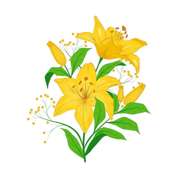 Hermosas flores de lirio amarillo ilustración de diseño gráfico vectorial sobre fondo blanco