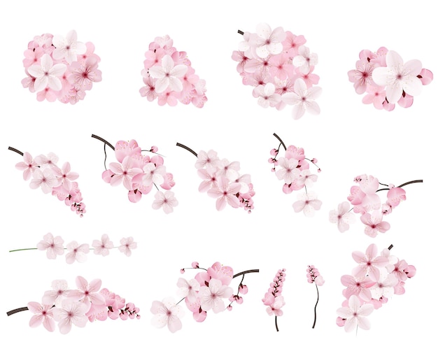 Hermosas flores de sakura rosadas florecientes en la rama Conjunto de ramas de cerry florecientes realistas Ilustración vectorial