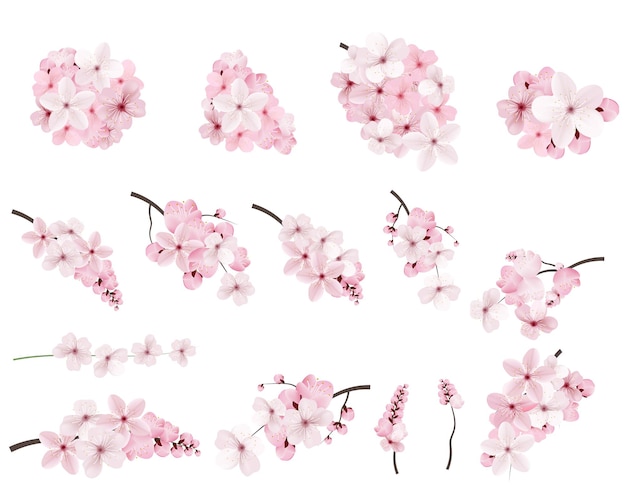 Hermosas flores de sakura rosadas florecientes en la rama Conjunto de ramas de cerry florecientes realistas Ilustración vectorial