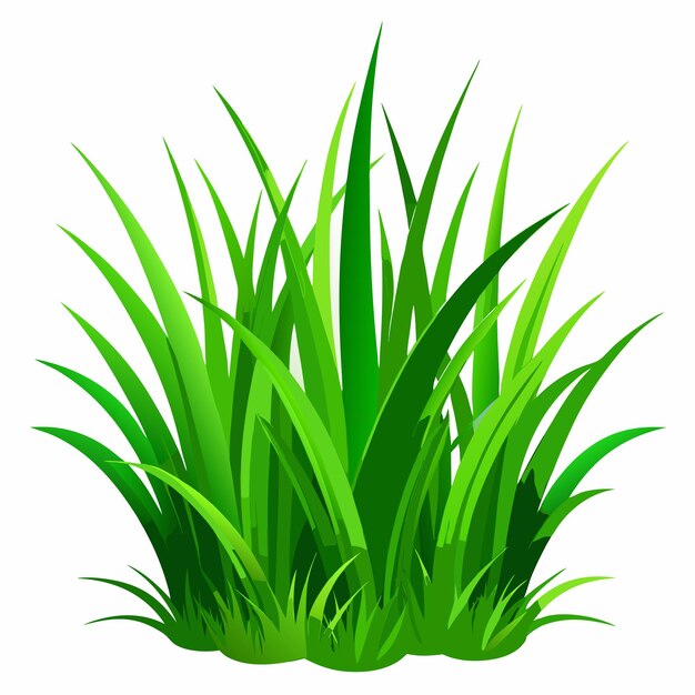 Hermosas hierbas verdes naturales hierbas verdes frescas hierbas botánicas ilustraciones vectoriales de hierbas