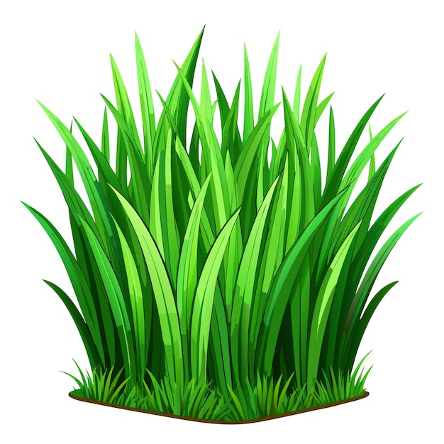 Hermosas hierbas verdes naturales hierbas verdes frescas hierbas botánicas ilustraciones vectoriales de hierbas