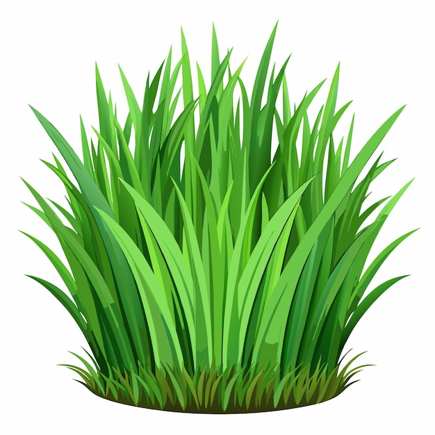 Hermosas hierbas verdes naturales hierbas verdes frescas hierbas botánicas ilustraciones vectoriales de hierbas