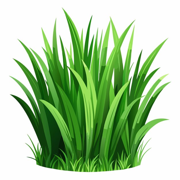 Hermosas hierbas verdes naturales hierbas verdes frescas hierbas botánicas ilustraciones vectoriales de hierbas