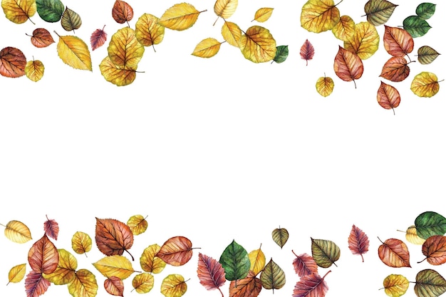 Hermosas ilustraciones de hojas de otoño en tonos vibrantes perfectas para diseños estacionales, proyectos con temas naturales y fondos artísticos Añade un toque de belleza natural y elegancia a tu trabajo