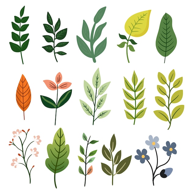 Hermosas ilustraciones vectoriales de hermosas flores y plantas