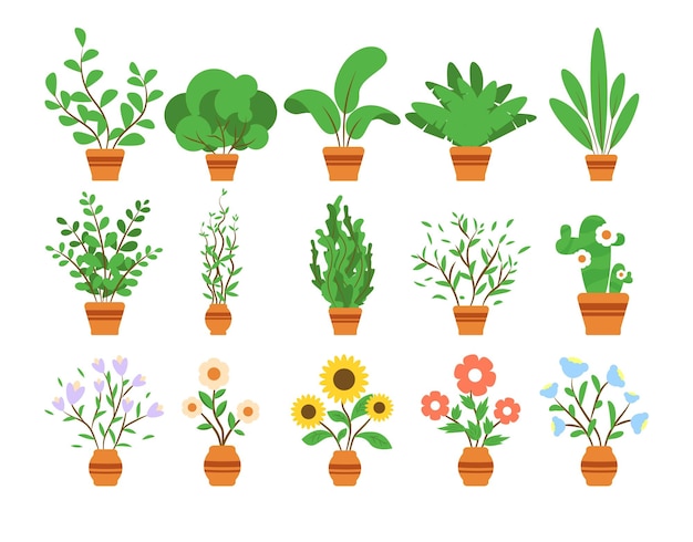 Hermosas plantas de interior en macetas Vector de plantas decorativas