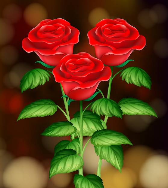 Vector hermosas rosas con fondo borroso