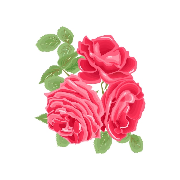 Hermosas rosas rojas