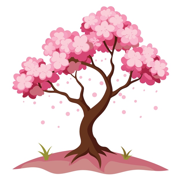 El hermoso árbol de cereza en flor rosa el árbol de sakura rosa aislado sobre un fondo blanco