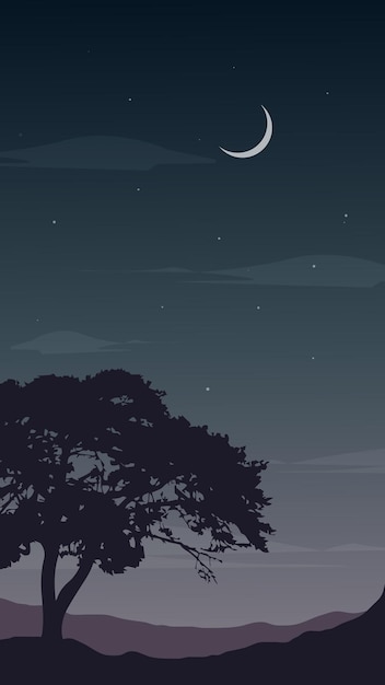 Hermoso Árbol Starr Cielo Nocturno