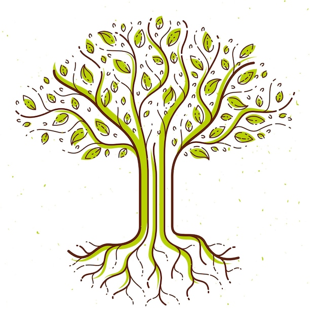 Hermoso árbol vector estilo lineal dibujo logotipo o icono, dibujo perfecto.