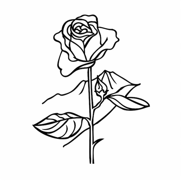 hermoso boceto de arte de línea de rosas minimalista