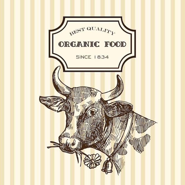 Hermoso boceto dibujado a mano ilustración producto lácteo para su diseño Leche orgánica